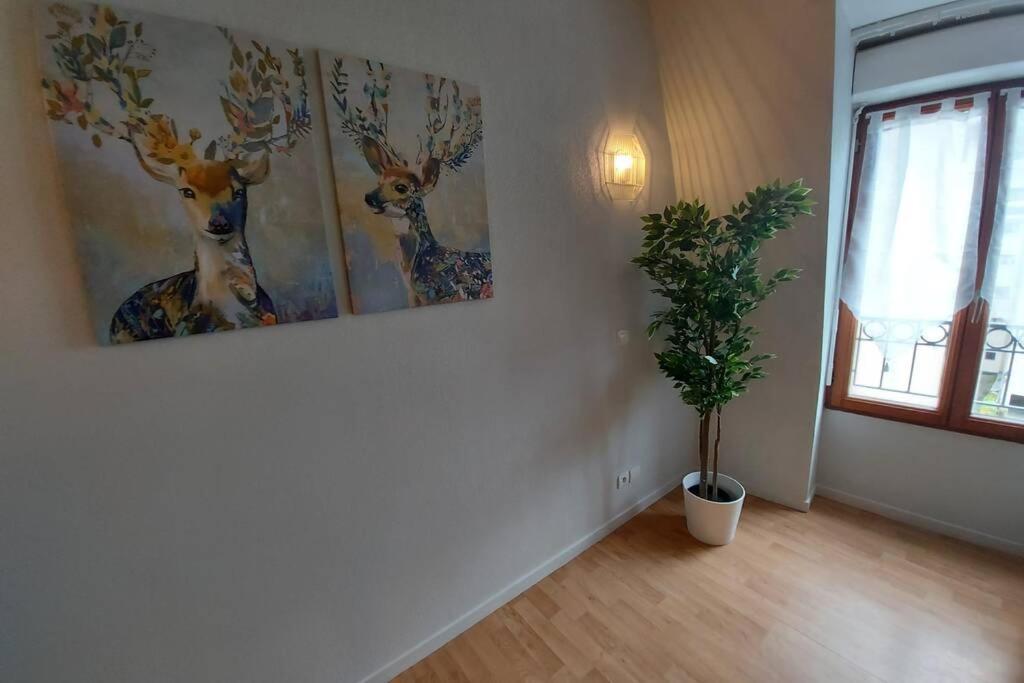 Appartement Moderne, Hyper-Centre - 6/8 Pers. Bagnères-de-Luchon Eksteriør billede
